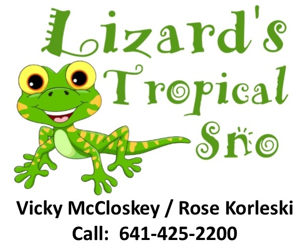 Lizards Tropical Sno