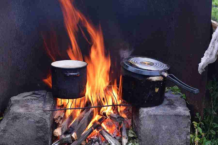 Help Protect Iowa’s Forests – Leave Firewood at Home