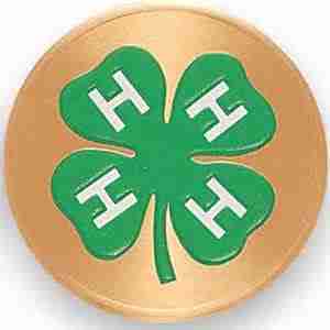 Kossuth County STEM Specialist Wins Numerous 4-H Awards