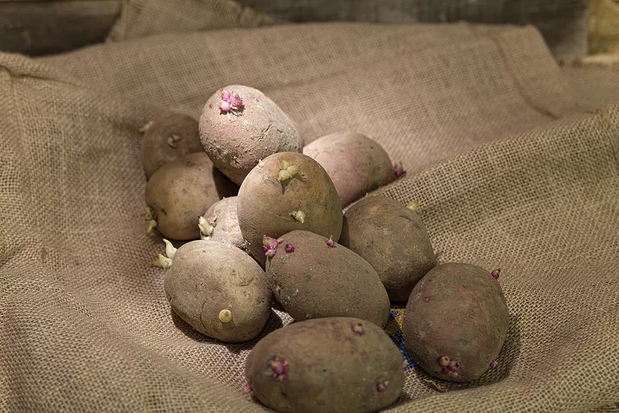 St. Ansgar Business Benefits from a Choose Iowa Grant