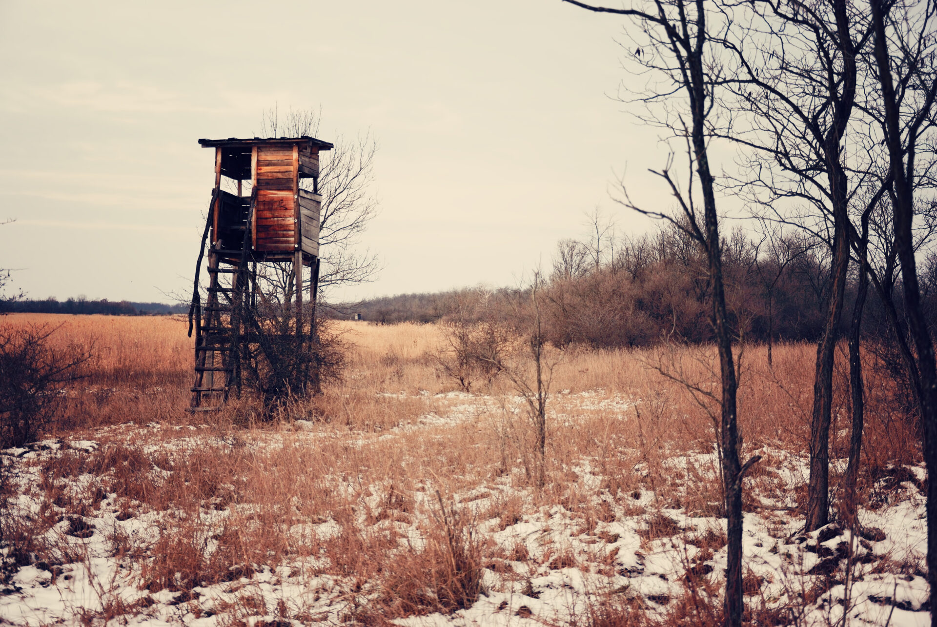 Iowa Deer Hunters Warned about Dangers of Tree Stands