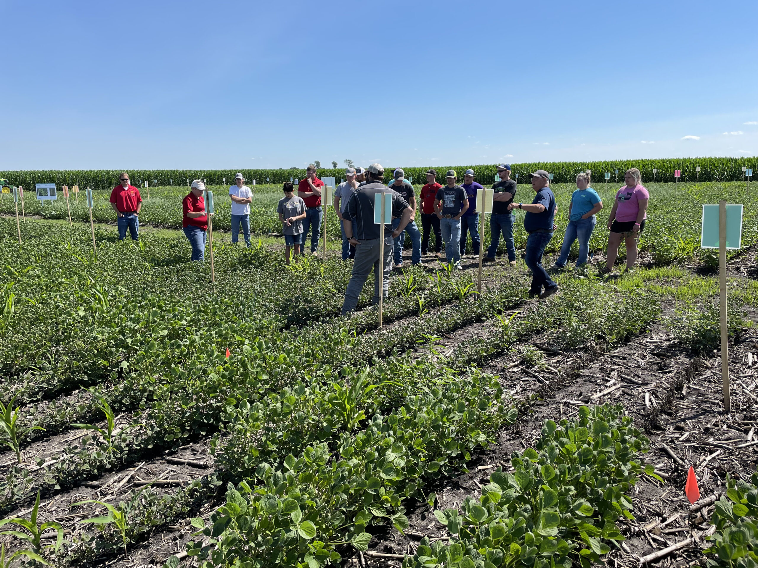 Iowa State University Northern Research and Demonstration Farm To Hold Field Day June 25